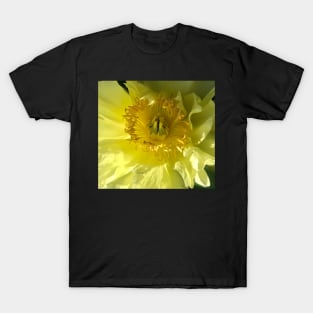 Yellow Blossom Flower Power! T-Shirt